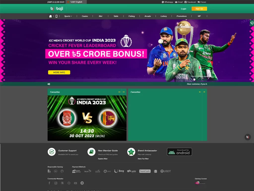 Website screenshot 3