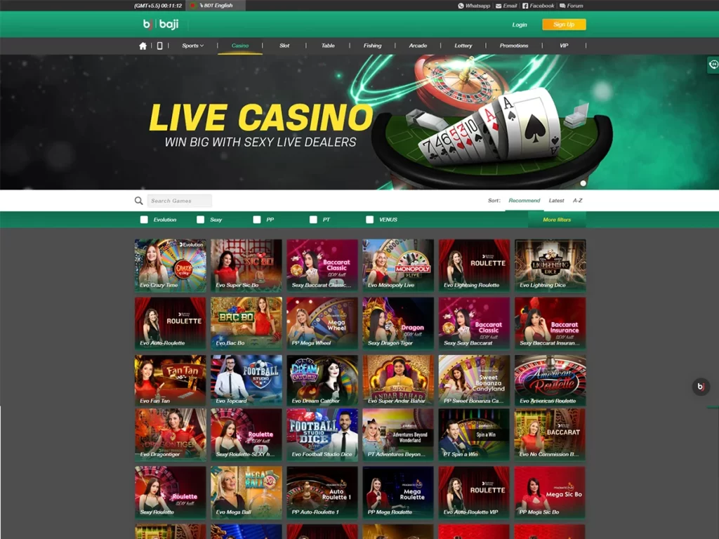 Website screenshot 2