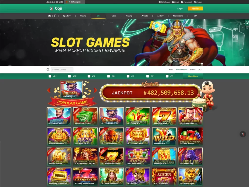 Website screenshot 1